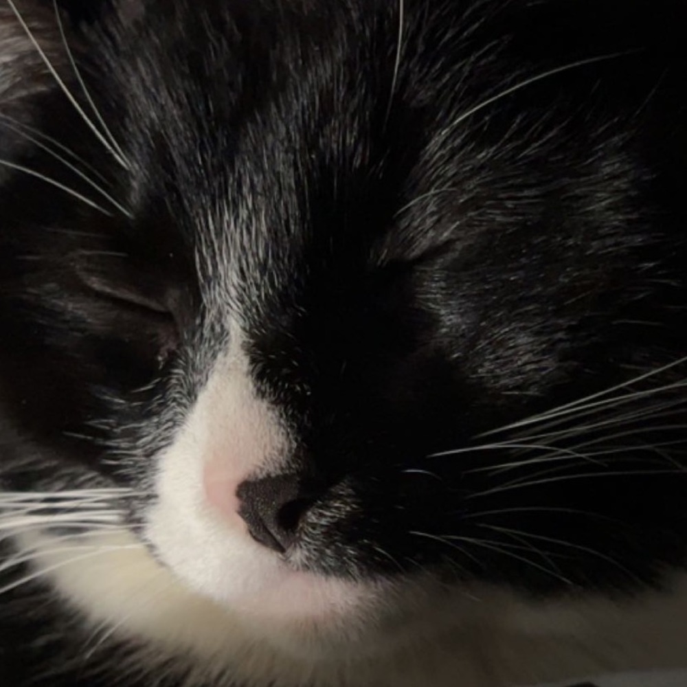 Meet your Posher, Sicily